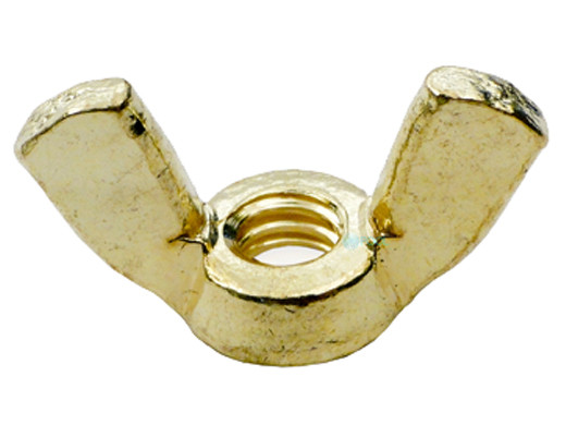 Pentair Wing Nut 1/4