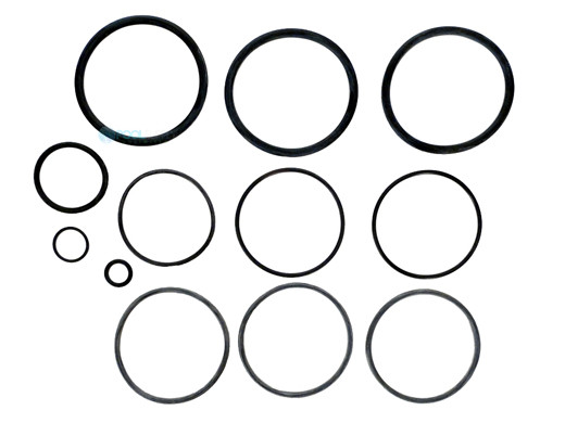 Zodiac Jandy O-Ring Replacement Kit | R0358000