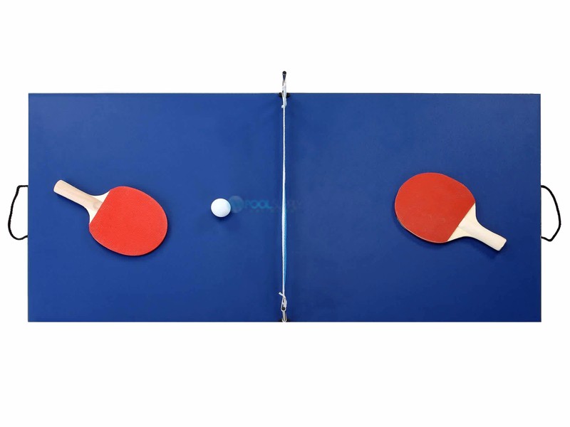 portable ping pong table