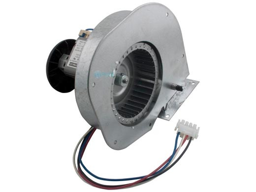 Hayward H-Series Combustion Blower | FDXLBWR1930