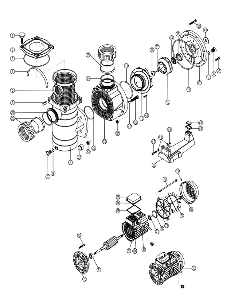 Hayward HCP Series Thermoplastic 3 Phase Commercial Pump | 5.5HP 230/460 | HCP55 Parts Schematic