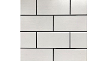 Cepac Tile Continental Subway 3x6 Series | Matte White | COS-2