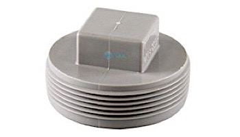 Pentair In-Floor formerly A&A Manufacturing 2" Tapered Pipe Thread Pressure Plug | 574901 | 290010