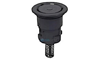 Pentair In-Floor formerly A&A Manufacturing Paramount Pool Valet PVR 1/4" Retro Internal | Black | 567533 230734