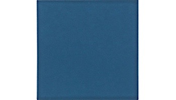 Cepac Tile Solid 6x6 Glossy Series | Navy Blue | #640