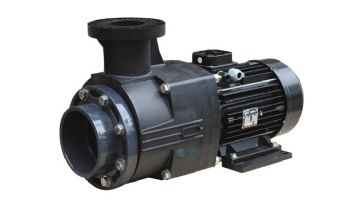 Waterco Hydrostar Plus 5HP Commercial High Performance Pump without Strainer | 3-Phase 208-230/460V | 2460501A