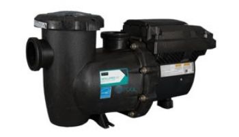 Pentair IntelliFlo3 VSF Variable Speed & Flow Pool Pump | 3THP 208-230V | 011075