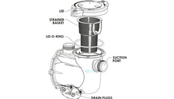 Pentair IntelliFlo3 3HP Strainer Pot Kit | Almond | 356175Z