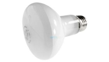 Hayward Incandescent Bulb | 100W 120V | SPX0551Z4