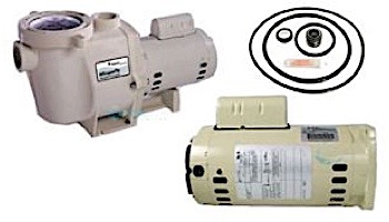 Replacement Pentair Square Flange Motor Energy Efficient 2 Speed | 230V 1.5HP | Almond | 071320S