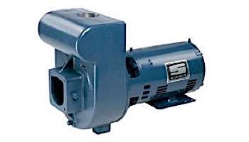 Sta-Rite D-Series 3HP Standard Efficiency 3-Phase Commercial Pool Pump 230-460V | DMH3-171