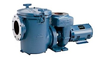 Sta-Rite CCSP Series 20HP Nema 3-Phase Epoxy Coated Cast Iron Pool Pump Without Strainer | 230-460V | CCSPHN3-145
