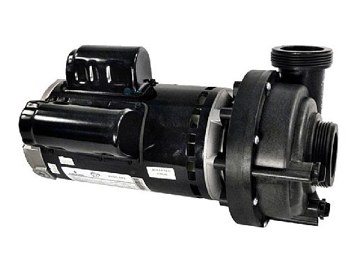 Sundance Spas 2.5HP 2 Speed 48 Frame Spa Pump | NB1 Without Bracket ...