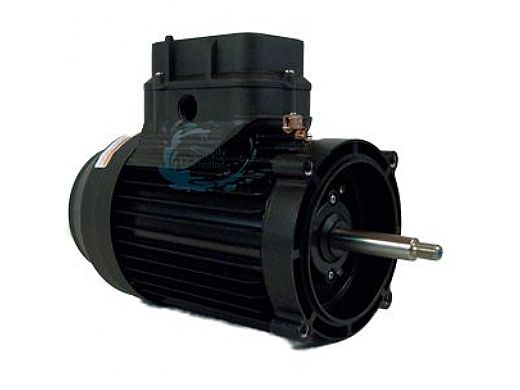 electric pool motor