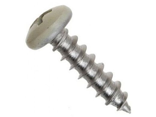 Pentair Screw Pan Head Phillips Almond #10 x 1