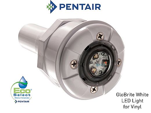 Pentair GloBrite Shallow Water White LED Light 12V 100 Cord