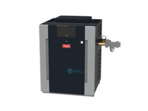 Raypak Digital ASME Certified Propane Commercial Pool Heater | 01021 ...